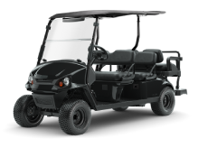 Golf Cart in Lansing, MI